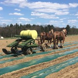 Clarion River Organics - Other in Sligo