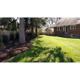 Dougherty Landscape Services LLC - Landscape Architects in Havertown