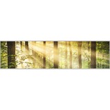 Countryside Consulting Inc - Business Consulting in Exton