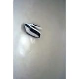 Roe Services Inc - Absestos Removal, Testing & Services in Glen Mills