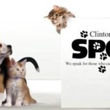 Clinton County Spca - Other in Lock Haven