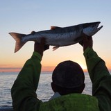 Wild For Salmon - Other in Bloomsburg