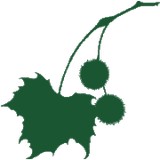 Willistown Conservation Trust - Other in Newtown Square