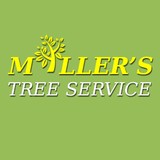 Millers Tree Service - Other in Girard