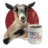 Crazy Mocha Coffee CO - Cafes in Pittsburgh