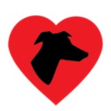 Going Home Greyhounds Inc - Other in Wexford