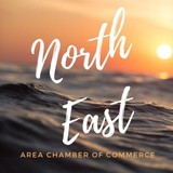 North East Chamber of Commerce - Other in North East