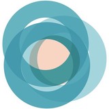 Sandy Rollman Ovarian Cancer - Other in Havertown