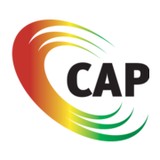 Cap Index Inc - Business Consulting in Exton