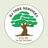 B J Tree Service LLC - Other in Verona