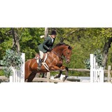 Concord Acres - Other in Morrisville