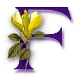 Fireside Flowers - Other in Richboro