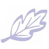 Harmony Clean - Cleaning Services in Doylestown