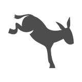 Data Mules LLC - Other in Bryn Mawr