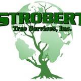 Strobert Tree Services Inc - Other in Chadds Ford