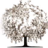 Floral Vale Periodontics - Dentists in Morrisville