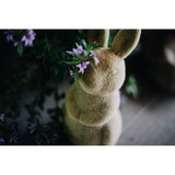 Sangha Center For Yoga And Wellness - Other in Beaver Falls