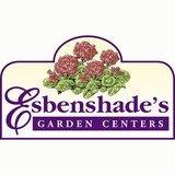 Esbenshade's Greenhouse - Other in Fleetwood