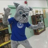 Bancroft Elementary - Other in Kennett Square