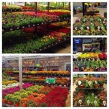 Plant Essentials, Inc - Other in Perkasie