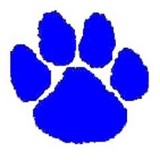Valley View High School - Other in Archbald