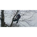 Rubio's Tree Svc & Landscaping - Tree Services in Lancaster