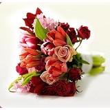 Ne Flower Boutique - Florists in Philadelphia
