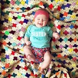 The Little Bee Co. - Other in Danville