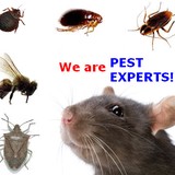 Baxter Pest Control - Pest Control in Philadelphia