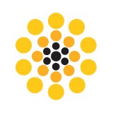 Synergis Technologies Inc - Web Design & Development in Blue Bell