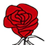 Red Rose Roofing Inc - Roofing in Lancaster