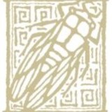 Cicada Architecture Planning - Architects in Philadelphia