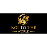 Koi To The World - Other in Marysville