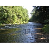 Pocono Adventure Center LLC - Other in Tannersville