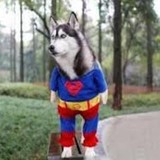 Dorneyville Pharmacy - Carers & Home Health Care in Allentown