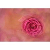 Photography By Louisa - Other in Saylorsburg