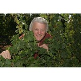 Butala Estate Vineyard - Other in Sharon