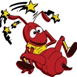 Gladhill Property Service & Pest - Other in Greencastle