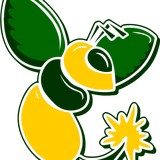 Marion Center Area Schools - Other in Marion Center