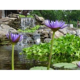 Center Point Pond Inc - Other in Worcester