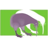 Kiwi Marketing Group LLC - Marketing in Lancaster