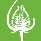 Touchstone Center For Crafts - Other in Farmington