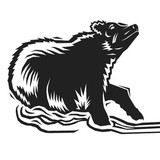 Bear Creek Ski & Recreation - Other in Macungie