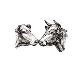 Kissin Fresh Meats Inc - Food & Related Products in Philadelphia