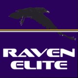 Raven Elite Consulting LLC - Software Development in Newport