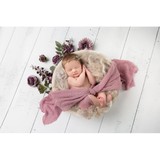 King Photography of Manheim - Other in Manheim