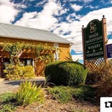 Shade Mountain Winery - Other in Middleburg