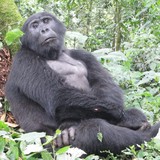 Explore Africa Safaris - Other in Selinsgrove