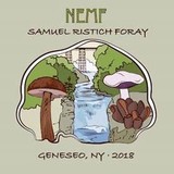 Nemf - Other in Greencastle