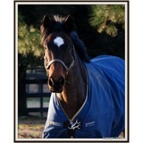 Harvest View Stables - Other in Manheim